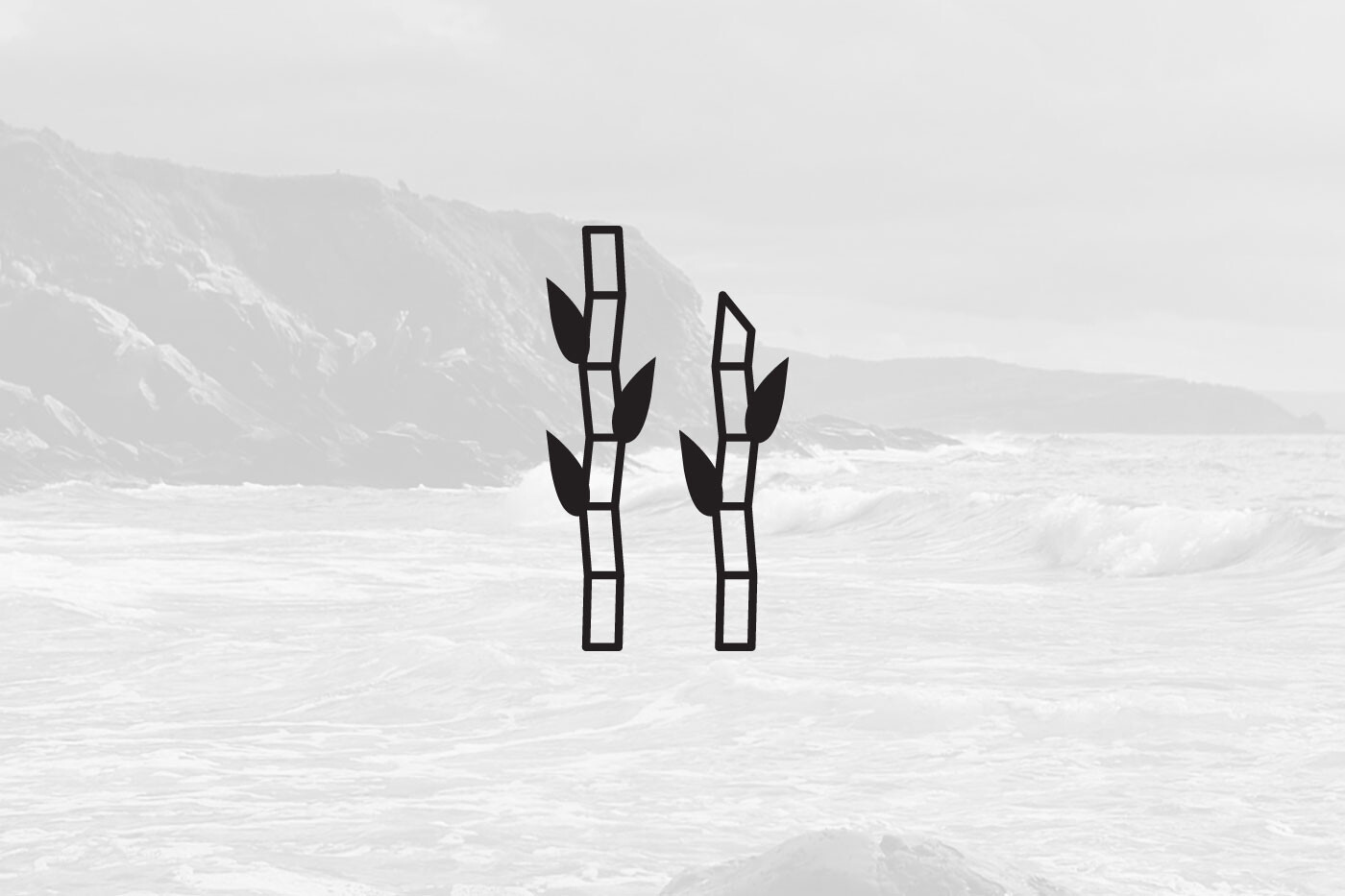 rum icon